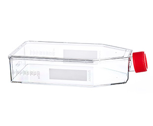 貼壁細(xì)胞培養(yǎng)瓶（TC處理，滅菌）661160 175cm&#178;，最大容積650ml（high）